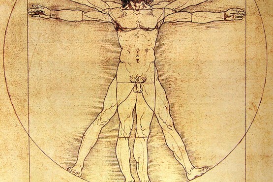 vitruvian man