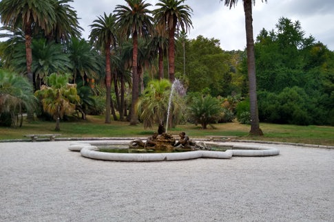 botanic garden