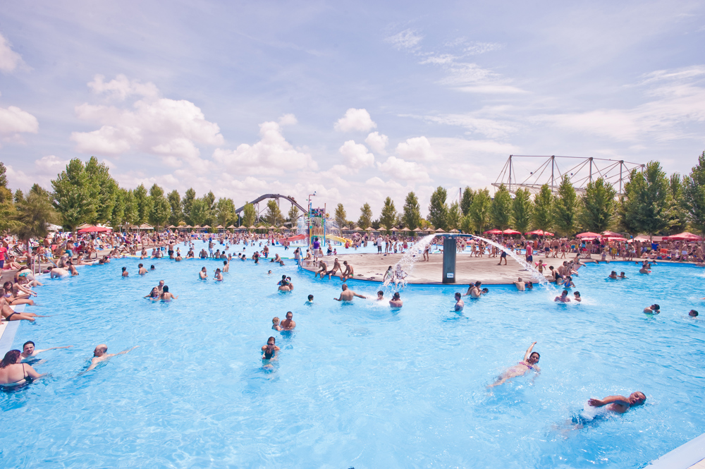 Zoomarine Swimming Pool